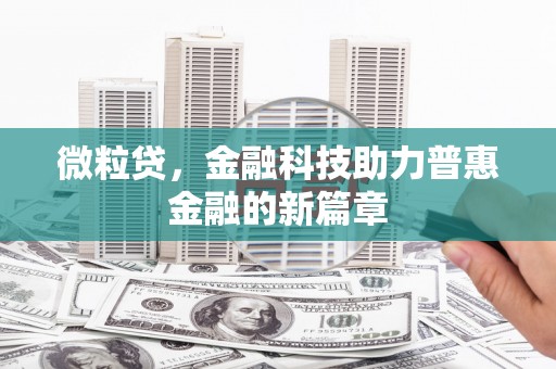 台东微粒贷，金融科技助力普惠金融的新篇章