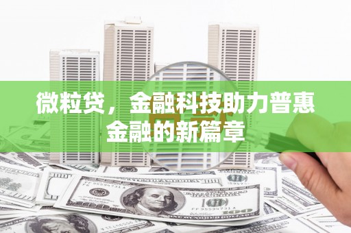 台东微粒贷，金融科技助力普惠金融的新篇章
