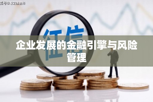 台东企业发展的金融引擎与风险管理