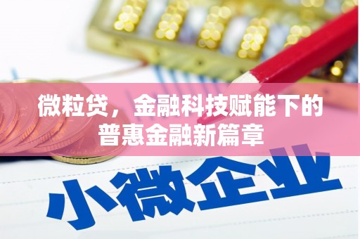 台东微粒贷，金融科技赋能下的普惠金融新篇章