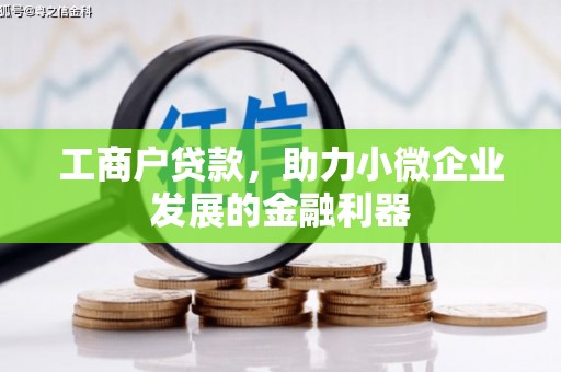 台东工商户贷款，助力小微企业发展的金融利器