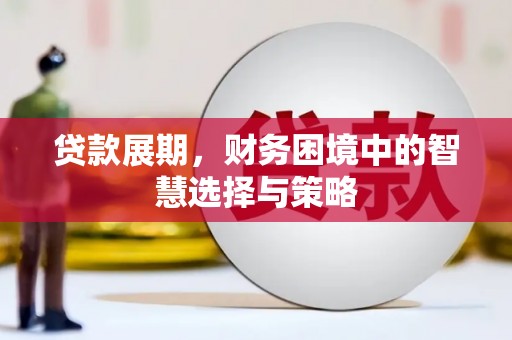 台东贷款展期，财务困境中的智慧选择与策略