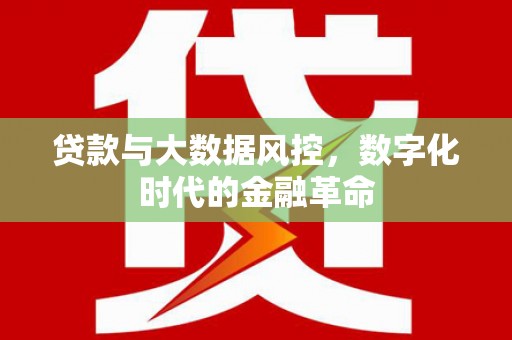 台东贷款与大数据风控，数字化时代的金融革命