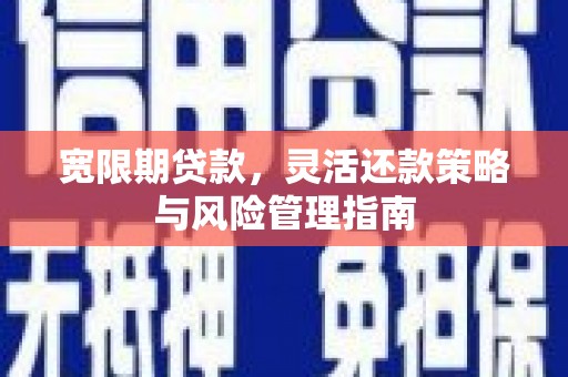 台东宽限期贷款，灵活还款策略与风险管理指南