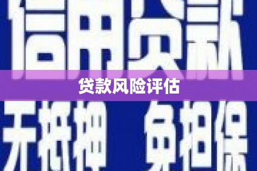 台东贷款风险评估