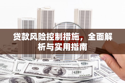 台东贷款风险控制措施，全面解析与实用指南