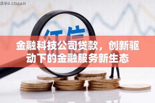 台东金融科技公司贷款，创新驱动下的金融服务新生态