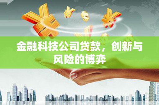 台东金融科技公司贷款，创新与风险的博弈