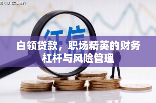 台东白领贷款，职场精英的财务杠杆与风险管理