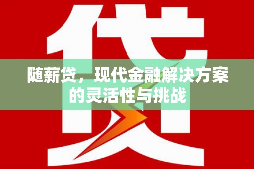 台东随薪贷，现代金融解决方案的灵活性与挑战