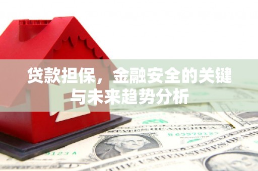 台东贷款担保，金融安全的关键与未来趋势分析