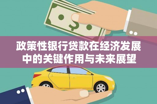 台东政策性银行贷款在经济发展中的关键作用与未来展望