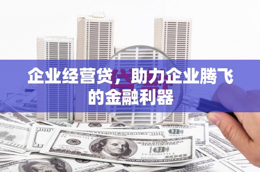 台东企业经营贷，助力企业腾飞的金融利器