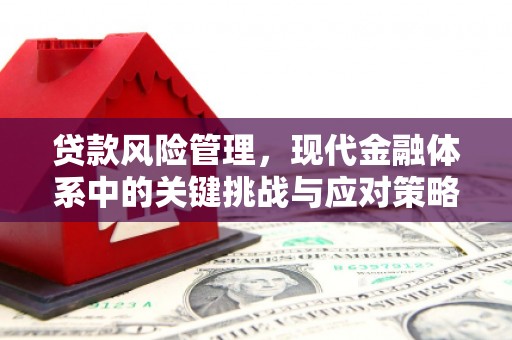 台东贷款风险管理，现代金融体系中的关键挑战与应对策略