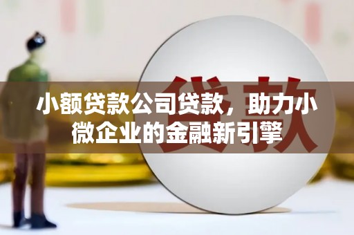台东小额贷款公司贷款，助力小微企业的金融新引擎