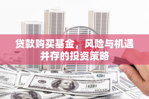 台东贷款购买基金，风险与机遇并存的投资策略