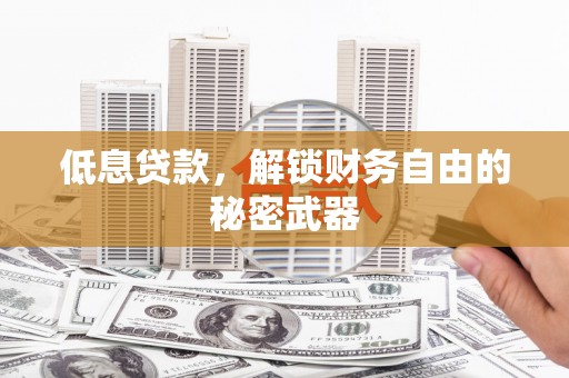 台东低息贷款，解锁财务自由的秘密武器