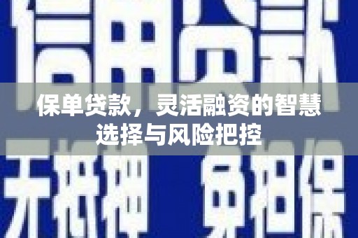 台东保单贷款，灵活融资的智慧选择与风险把控