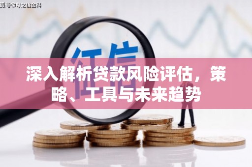 台东深入解析贷款风险评估，策略、工具与未来趋势