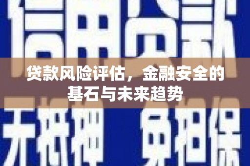 台东贷款风险评估，金融安全的基石与未来趋势