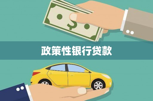 台东政策性银行贷款