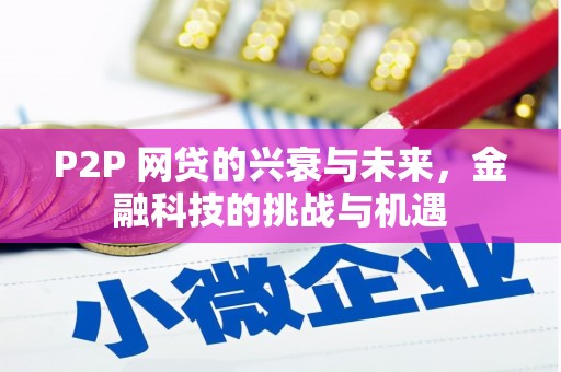 台东P2P 网贷的兴衰与未来，金融科技的挑战与机遇