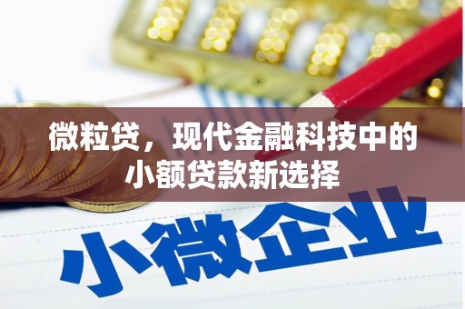 台东微粒贷，现代金融科技中的小额贷款新选择