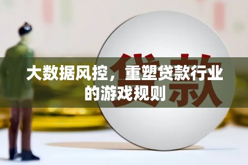台东大数据风控，重塑贷款行业的游戏规则