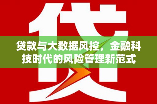 台东贷款与大数据风控，金融科技时代的风险管理新范式