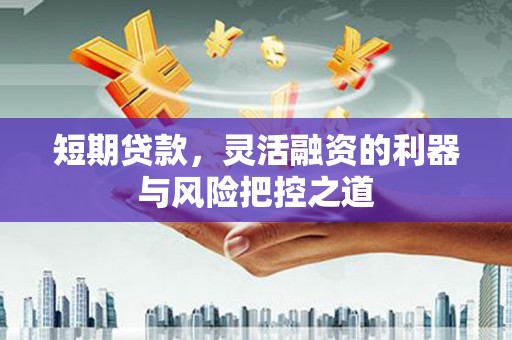 台东短期贷款，灵活融资的利器与风险把控之道