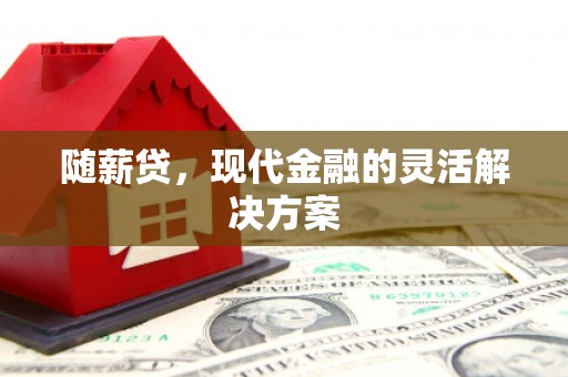台东随薪贷，现代金融的灵活解决方案