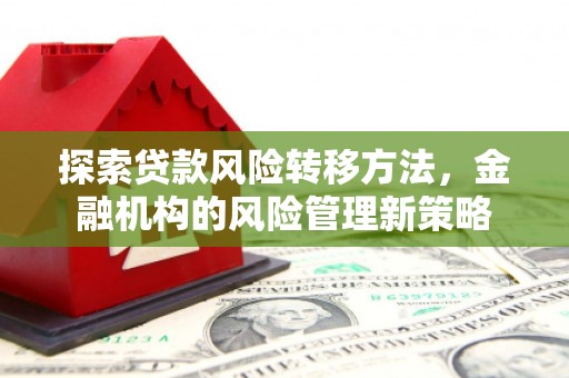 台东探索贷款风险转移方法，金融机构的风险管理新策略