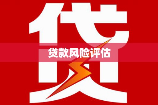 台东贷款风险评估
