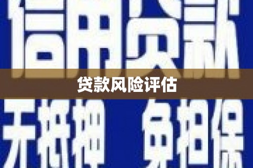 台东贷款风险评估