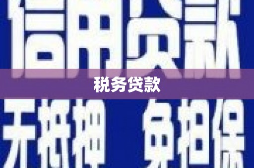 台东税务贷款