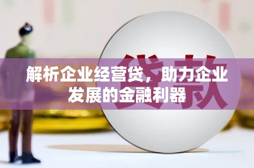 台东解析企业经营贷，助力企业发展的金融利器