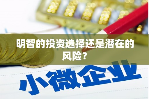 台东明智的投资选择还是潜在的风险？