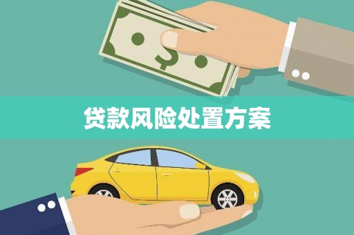 台东贷款风险处置方案