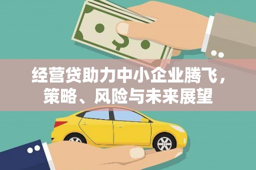 台东经营贷助力中小企业腾飞，策略、风险与未来展望