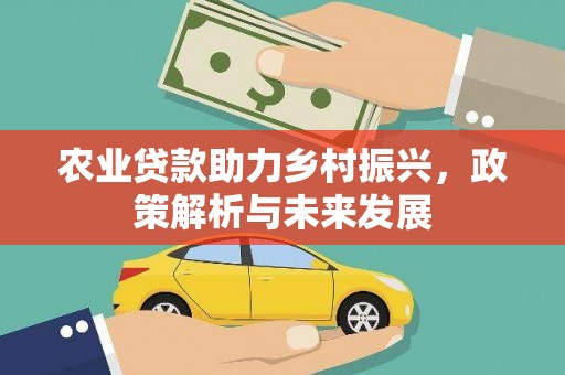 台东农业贷款助力乡村振兴，政策解析与未来发展