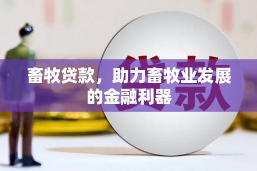 台东畜牧贷款，助力畜牧业发展的金融利器