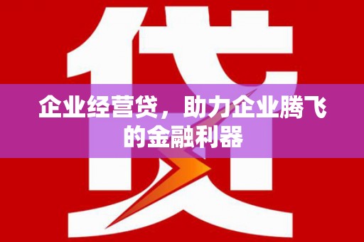 台东企业经营贷，助力企业腾飞的金融利器