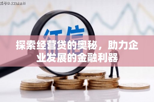 台东探索经营贷的奥秘，助力企业发展的金融利器