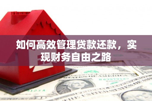台东如何高效管理贷款还款，实现财务自由之路