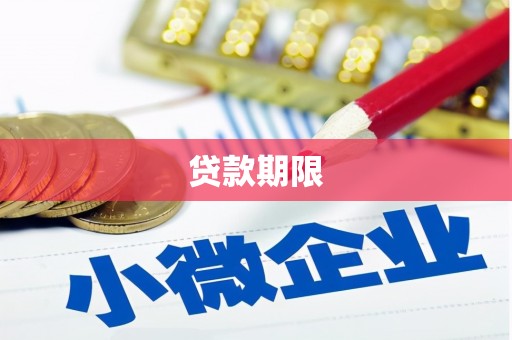 台东贷款期限