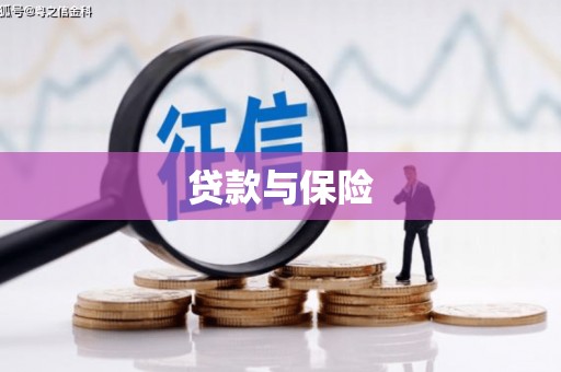 台东贷款与保险