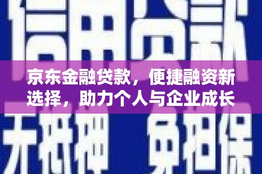 台东京东金融贷款，便捷融资新选择，助力个人与企业成长