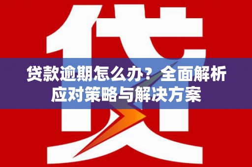 台东贷款逾期怎么办？全面解析应对策略与解决方案
