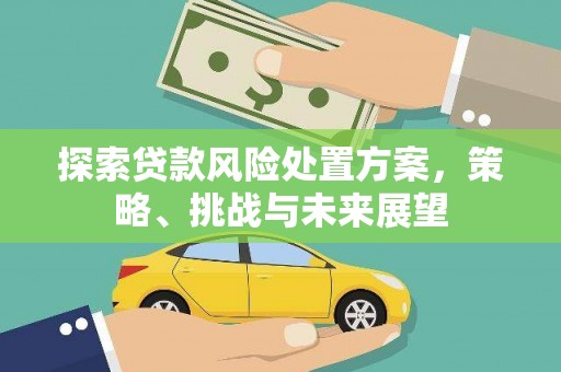 台东探索贷款风险处置方案，策略、挑战与未来展望