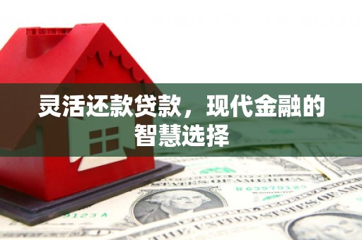 台东灵活还款贷款，现代金融的智慧选择
